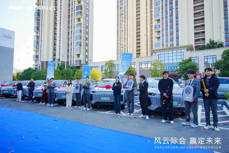 深入合肥风云际会：揭秘这家科技公司