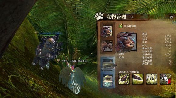 激战2游侠最强宠物推荐：战斗辅助全解析
