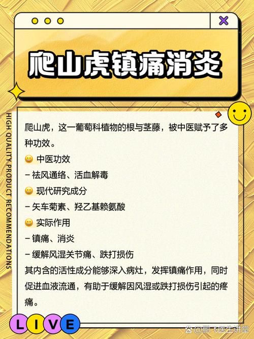 爬山虎有毒吗？药用价值与毒性风险分析