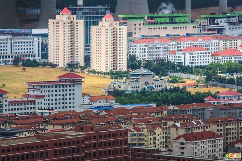 爱威海信息港：你的威海生活好帮手，信息及时更新