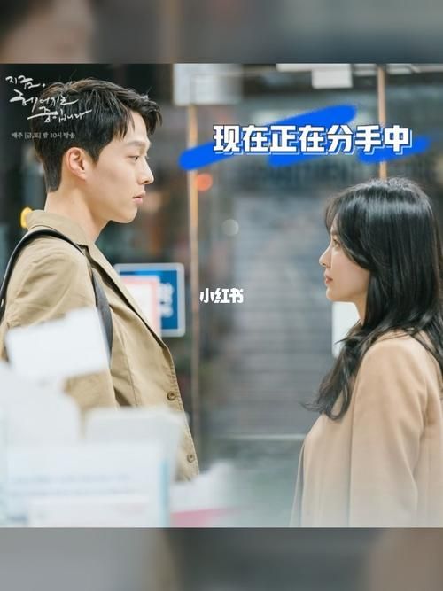 现在正在分手中韩剧在线观看：完整版全集免费看
