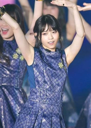 AOA绅士学院最新版本是多少？下载地址及版本区别详解