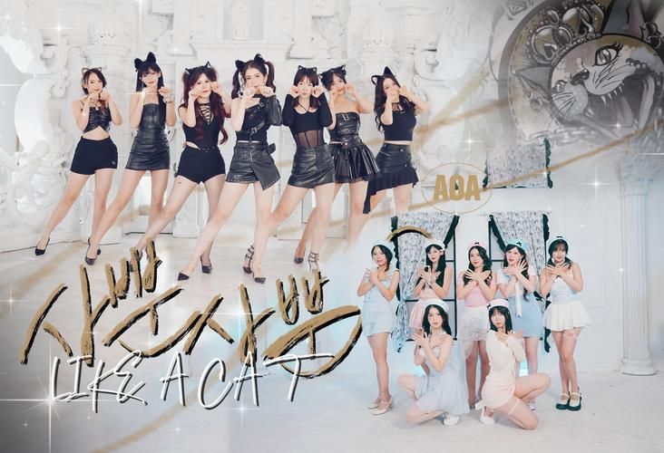 AOA绅士学院版本大全：超多角色等你解锁！