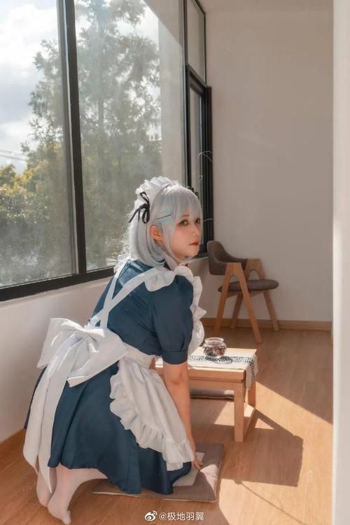 coser1下载地址汇总：避免广告弹窗，快速下载