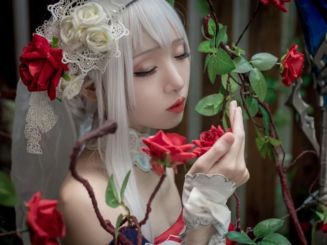 coser1在哪下载？避免误入歧途的下载指南