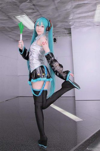 coser1最新版本是多少？下载途径及资源分享