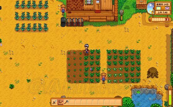 HoneySun游戏介绍：超治愈种田恋爱游戏，你值得拥有！