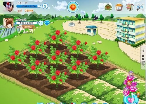 HoneySun游戏官网：体验甜蜜阳光的休闲农场生活