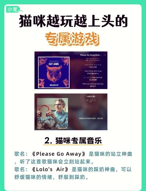 Nekotto岛安卓版下载：轻松休闲的猫咪游戏体验