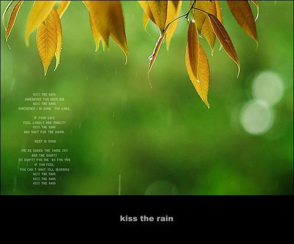 Rainnight雨安卓版资源分享：寻找雨声的宝藏之旅