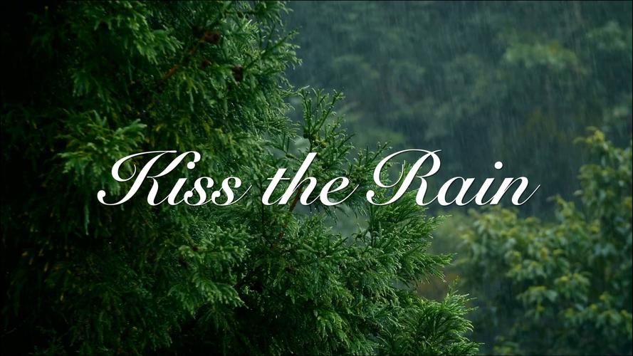 Rainnight雨官方网站：寻找Rainnight雨全部作品的正确途径