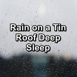 Rainnight雨最新版下载地址：轻松获取官方正式版！