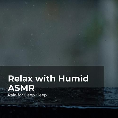 Rainnight雨最新版本下载：体验最舒适的助眠ASMR