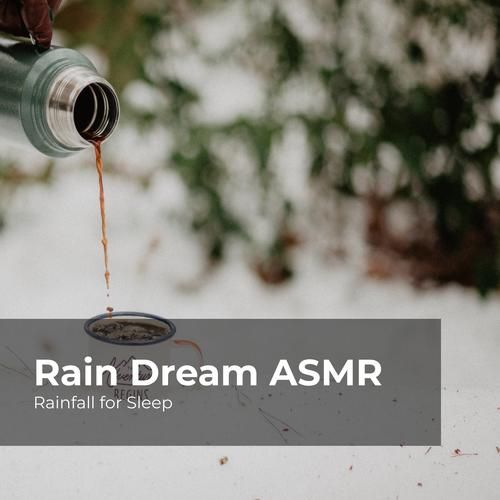 Rainnight雨资源大全：剧情、助眠、ASMR音频下载