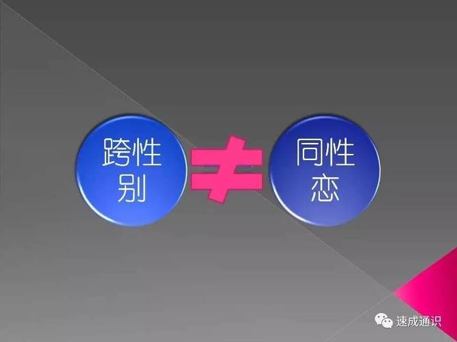 Sex知识科普：全面了解性与性别，科学认识性健康