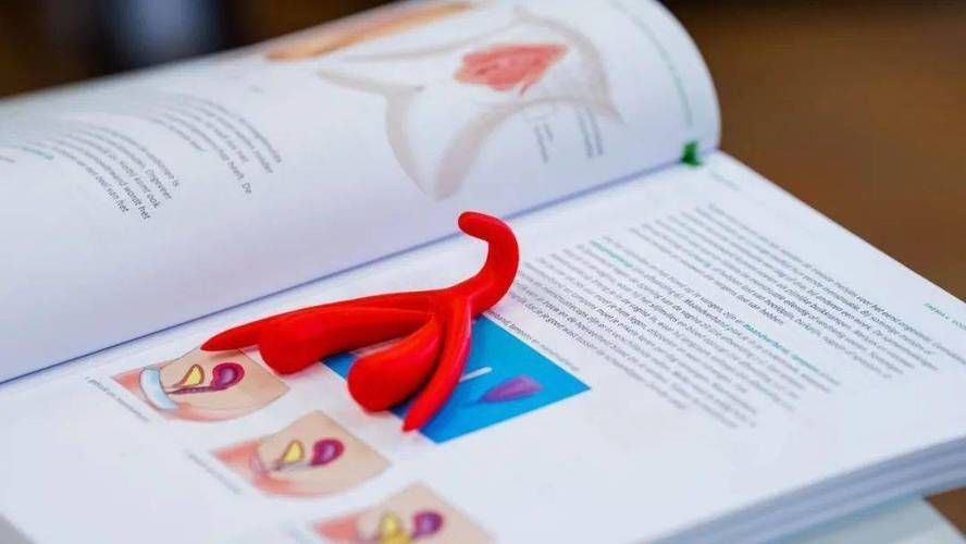 Sex知识科普：全面了解性与性别，科学认识性健康