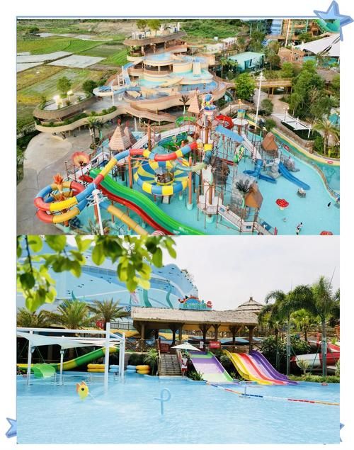 SOA水上乐园官网：揭秘SOA水上乐园，精彩不容错过！