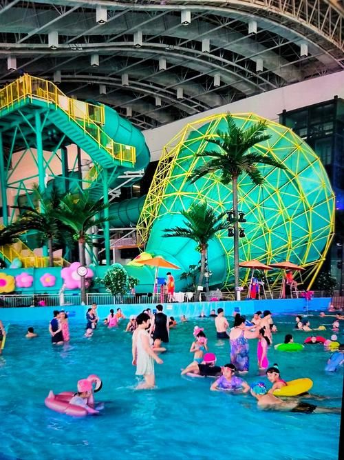 SOA水上乐园更新地址：最新地址分享，带你畅玩水上乐园！