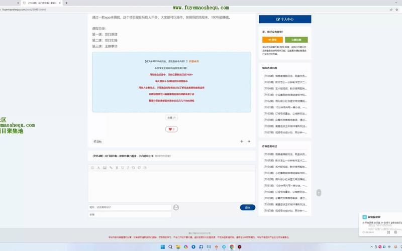 SOBV0.31精翻汉化版下载教程，小白也能轻松上手