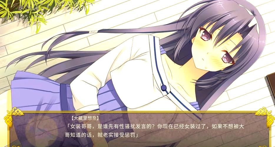 Steam热门绅士游戏：终焉之国与初始魔女深度评测