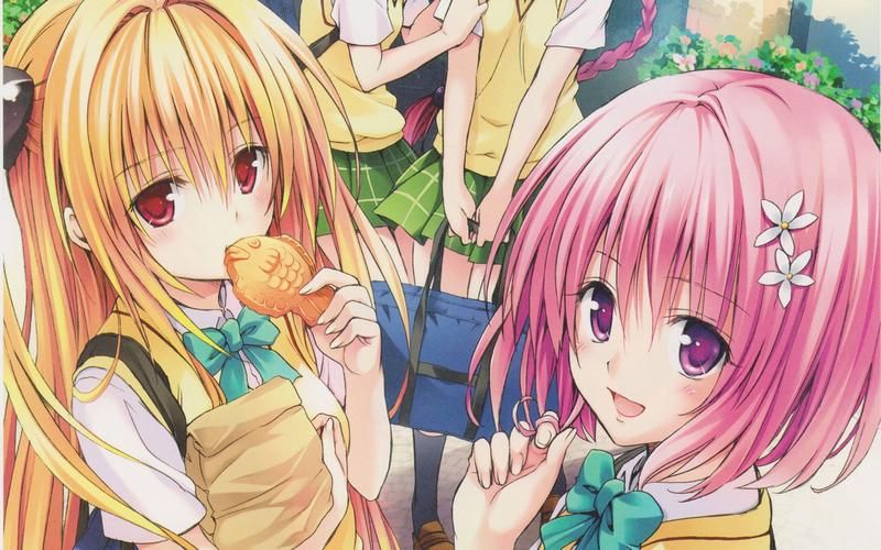 TOlove下载地址找不到？教你快速找到正版资源