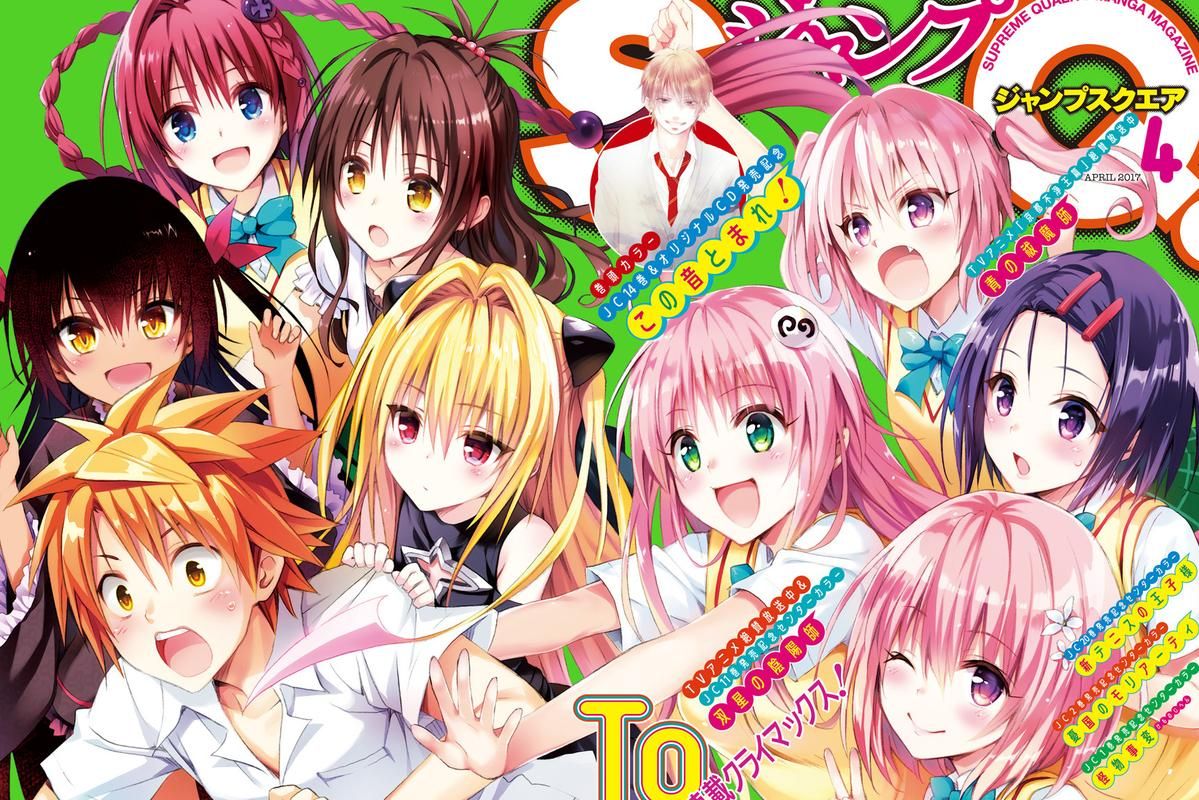 TOlove官网是什么？快速了解Tolove官方网站