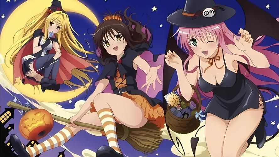 TOlove官网是什么？快速了解Tolove官方网站