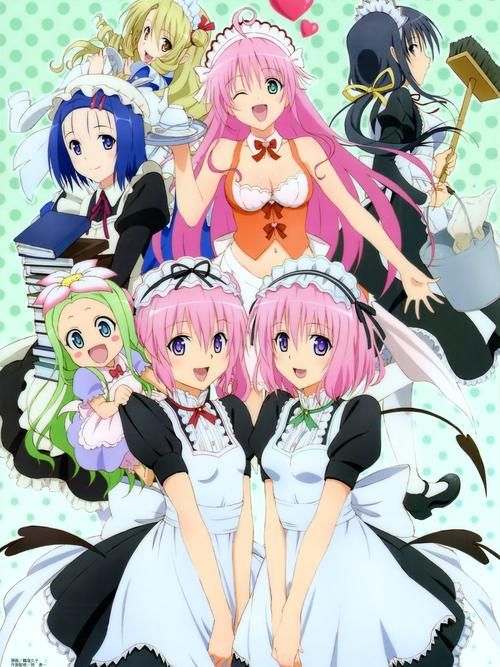 TOlove官网是什么？快速了解Tolove官方网站