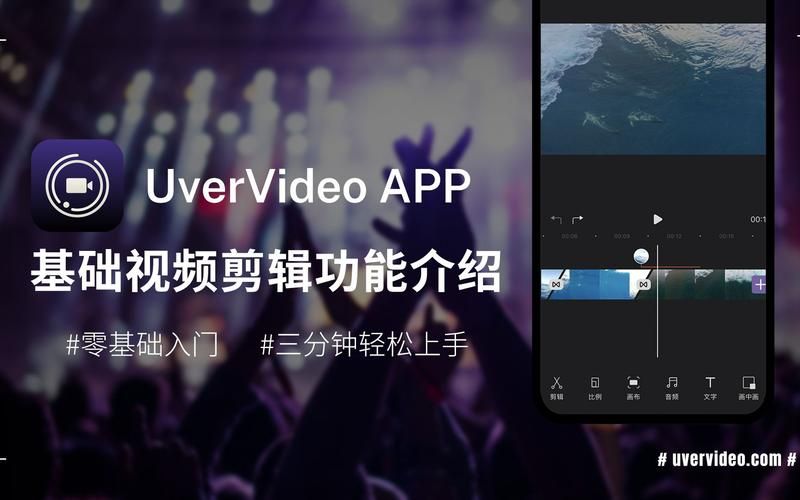 TOlove游戏下载安装教程：小白也能轻松上手