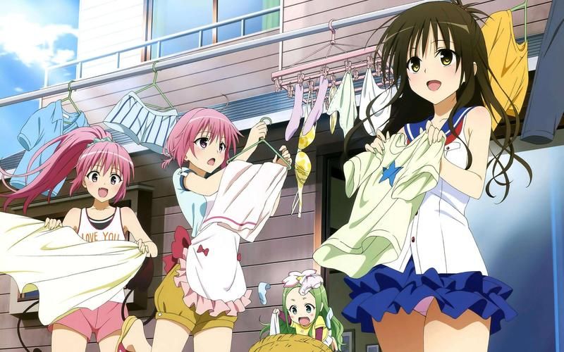 TOlove绅士游戏评测：画面、剧情及玩法详解