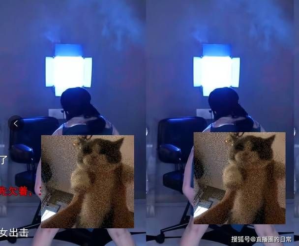 VtuberHack安卓：观看虚拟主播直播的最佳选择