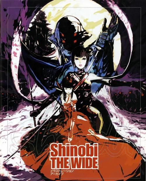 下载女忍调教最后的战争安卓汉化版，开启忍者冒险