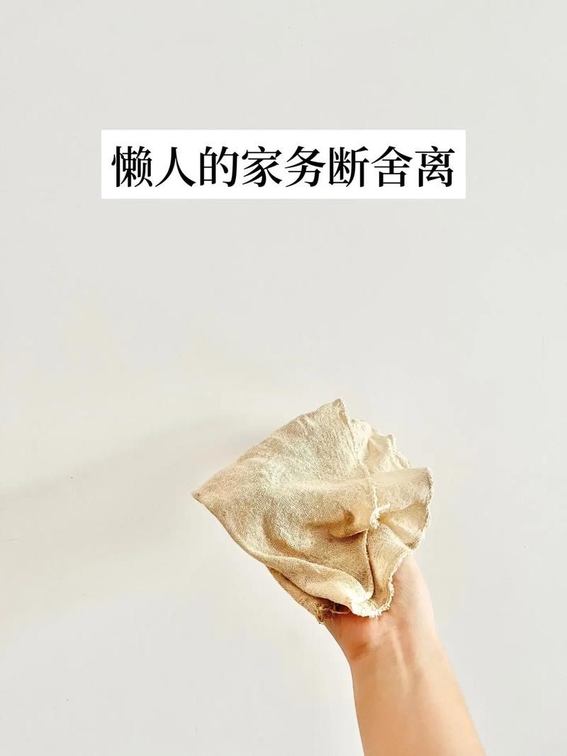 下载家务最新版本：告别繁琐的家务难题