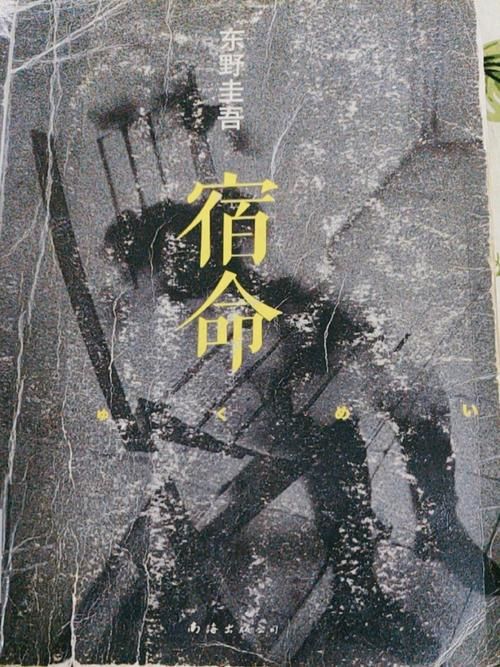 下载宿命论安卓应用：预测你的未来命运