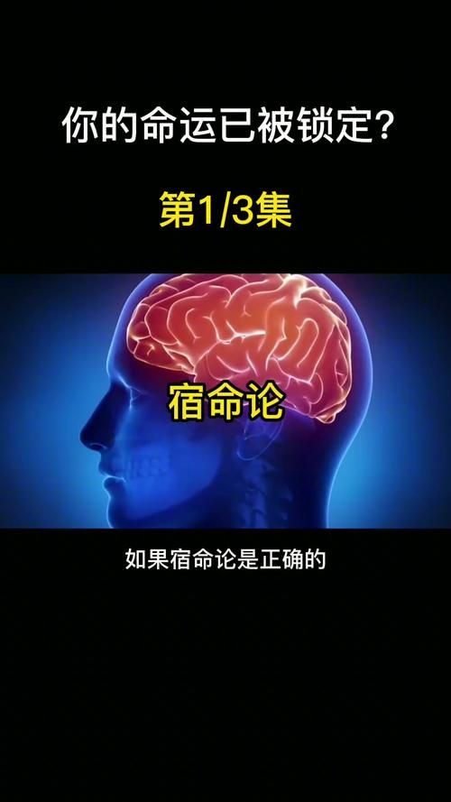 下载宿命论安卓应用：预测你的未来命运