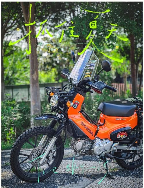 下载忠诚的妻子游戏官方正式版：最新版本，畅玩无阻