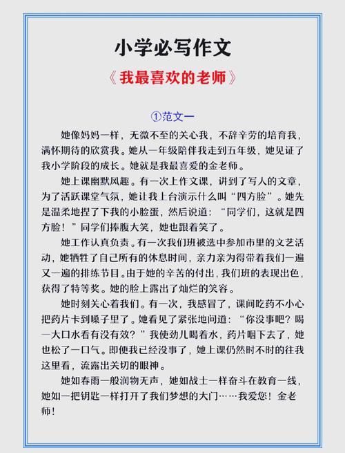 下载我最喜欢的老师：官方正式版，最新版资源轻松获取