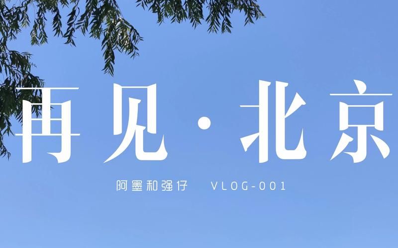 下载打工人张伟官方正式版最新版,开启你的打工之路 下载打工人张伟官方正式版最新版,开启你的打工之路