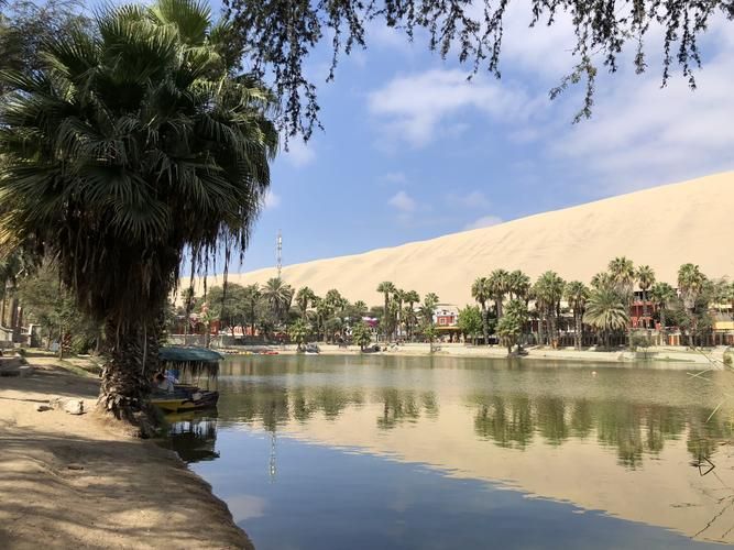 下载最后绿洲汉化版：体验刺激的游牧生存之旅