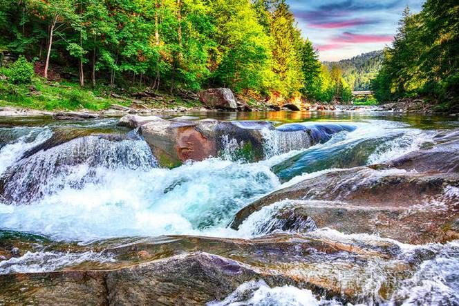 丛林V0.20下载地址：快速下载安装教程详解