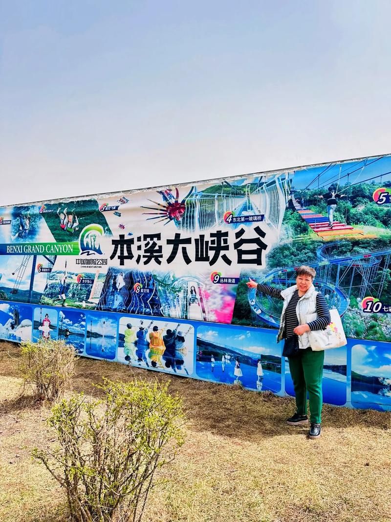 丛林V0.20下载地址：快速下载安装教程详解