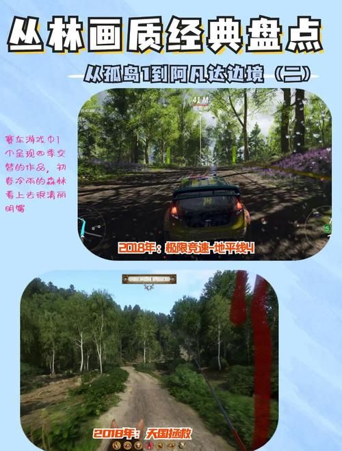 丛林V0.20如何下载？新手小白也能轻松上手！