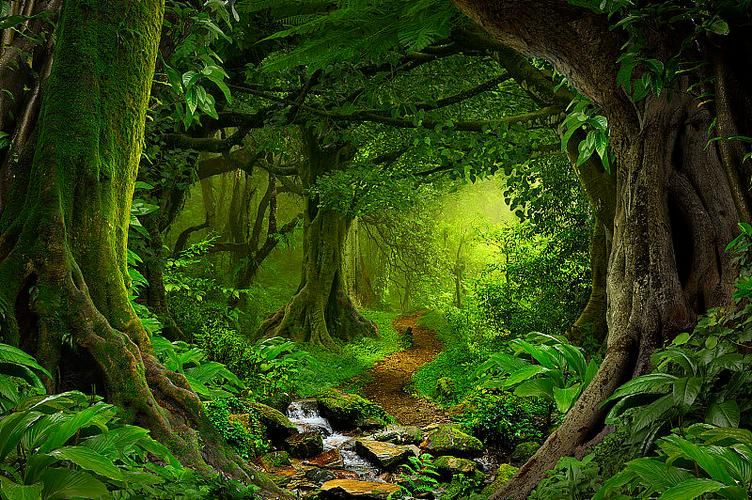 丛林V0.20版本大全：带你了解游戏背景设定