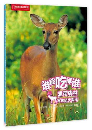 丽贝卡版本大全：不同角色不同魅力大揭秘