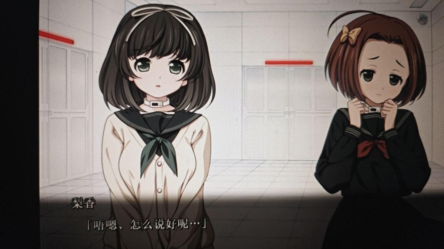 乐园之扉最新更新内容详解：新增了什么？