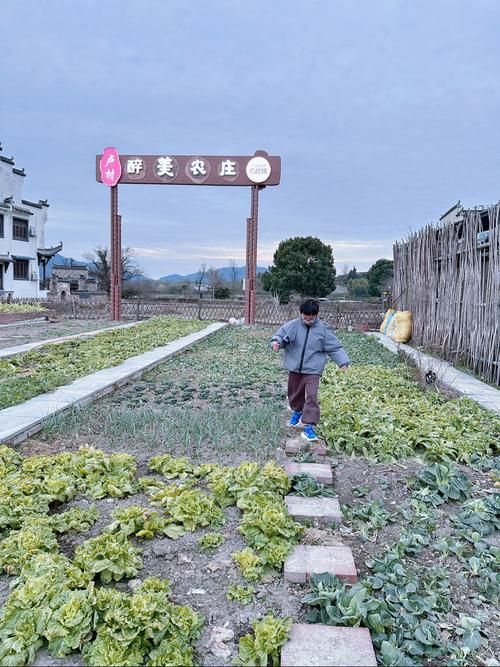 乡下生活2.0下载地址，体验不一样的乡村生活