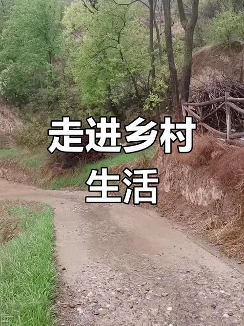 乡下生活2.0下载地址，体验不一样的乡村生活