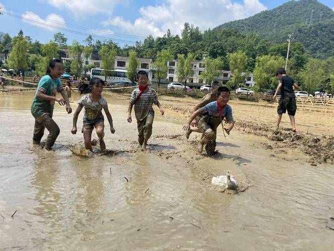 乡下生活最新体验：重温儿时记忆，感受田园之乐