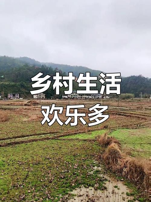 乡下生活最新体验：重温儿时记忆，感受田园之乐