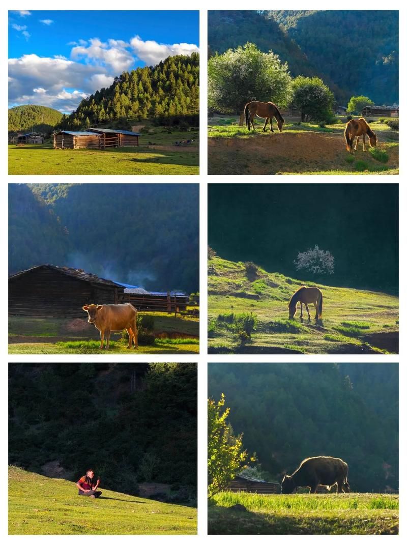 乡下生活最新版本：体验田园牧歌的悠闲日子